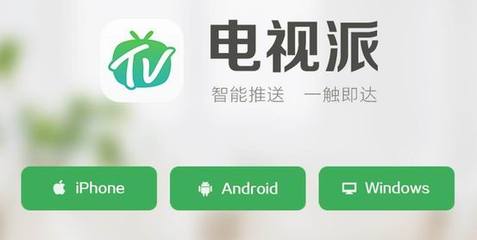 电视派电脑版下载
