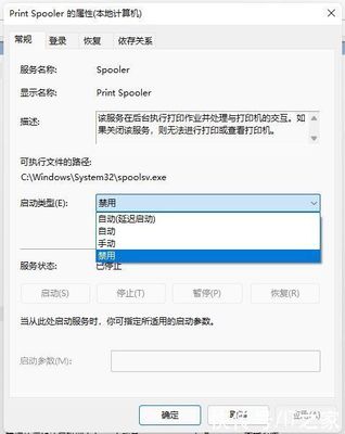 电脑禁用黑色打印