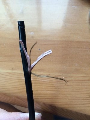 车载cd电脑电源接线