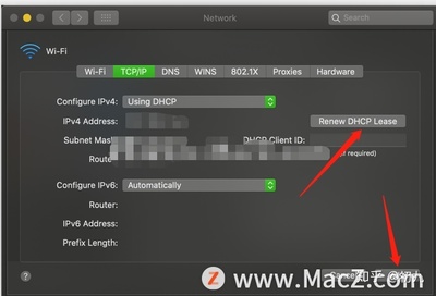 查找电脑mac地址 ip