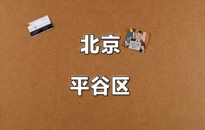 平谷小升初电脑查询