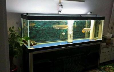 电脑模拟鱼缸