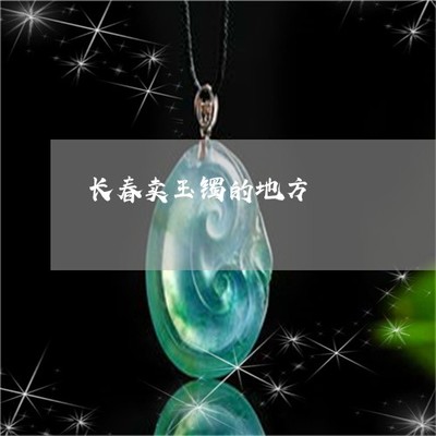 红旗488电脑版在哪