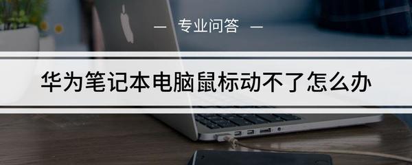 笔记本电脑触摸动不了