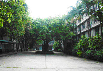 江夏学院电脑
