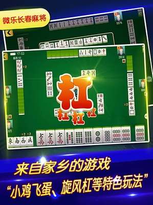 电脑的国麻将
