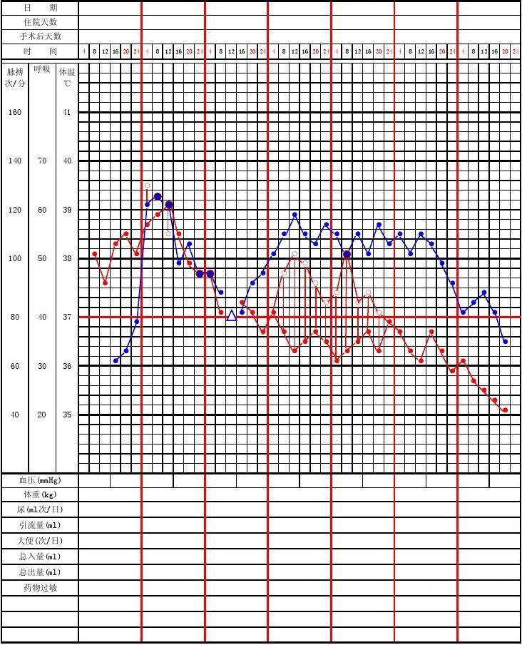 电脑体温单说明
