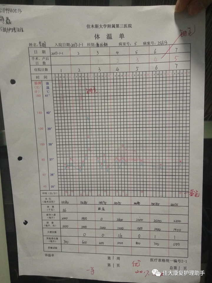 电脑体温单说明