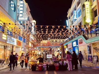 惠州惠南街电脑维护