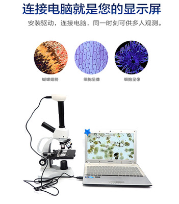 显微镜连接电脑黑屏