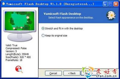 电脑动画flash