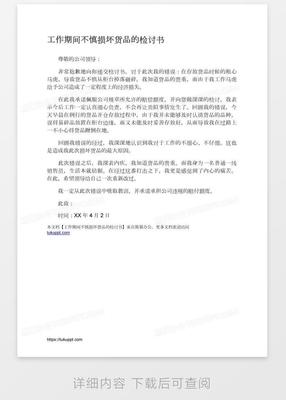 弄坏电脑检讨