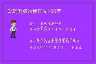 爱玩电脑的我