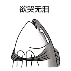 爱玩电脑的我