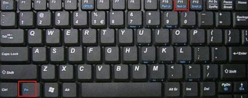 电脑数字键打不出数字