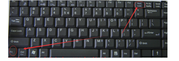电脑数字键打不出数字