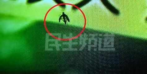 电脑屏幕 死虫子
