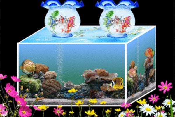 电脑3d动态屏保