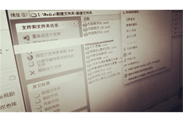 电脑黄色片
